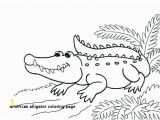 American Alligator Coloring Page 30 American Alligator Coloring Page