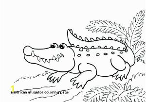 American Alligator Coloring Page 30 American Alligator Coloring Page