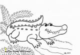 American Alligator Coloring Page 30 American Alligator Coloring Page