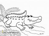 American Alligator Coloring Page 30 American Alligator Coloring Page