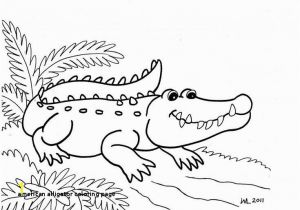 American Alligator Coloring Page 30 American Alligator Coloring Page