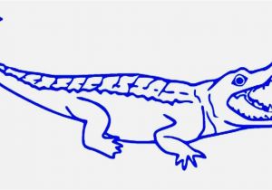 American Alligator Coloring Page Free Printable Alligator Coloring Pages