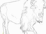 American Bison Coloring Page Bison Coloring Page Bison Coloring Page Bison Coloring Pages Free
