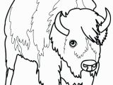 American Bison Coloring Page Bison Coloring Page Bison Coloring Page Picture A 4 Kids Pages