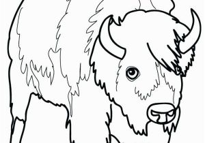 American Bison Coloring Page Bison Coloring Page Bison Coloring Page Picture A 4 Kids Pages