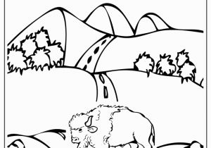 American Bison Coloring Page Bison Coloring Page