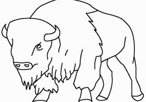 American Bison Coloring Page Bison Coloring Page