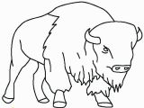 American Bison Coloring Page Bison Coloring Page Pages Draw A Buffalo Taking Care Her Baby P