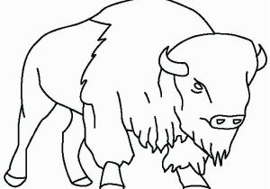 American Bison Coloring Page Bison Coloring Page Pages Draw A Buffalo Taking Care Her Baby P