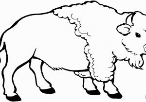 American Bison Coloring Page Coloriage Bison A Imprimer 6