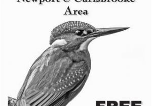 American Kestrel Coloring Page island Magazines Newport & Carisbrooke February 2018 Edition