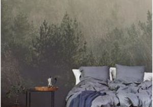 Amidst the Mist Wall Mural 175 Best Amazing Wallpaper Images