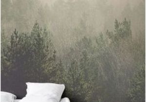 Amidst the Mist Wall Mural Die 7 Besten Bilder Von Wallpaper