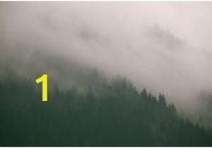 Amidst the Mist Wall Mural Die 7 Besten Bilder Von Wallpaper