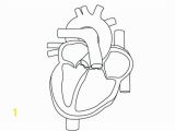 Anatomical Heart Coloring Pages Anatomical Heart Line Drawing at Getdrawings