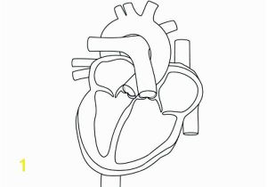 Anatomical Heart Coloring Pages Anatomical Heart Line Drawing at Getdrawings