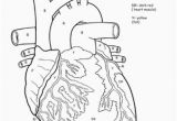 Anatomical Heart Coloring Pages Awesome Anatomy if I Ly Had A Heart Worksheet