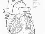 Anatomical Heart Coloring Pages Awesome Anatomy if I Ly Had A Heart Worksheet