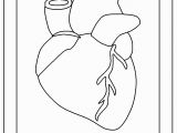 Anatomical Heart Coloring Pages Coloring Pages the Human Heart for Kidskidsfreecoloring Net