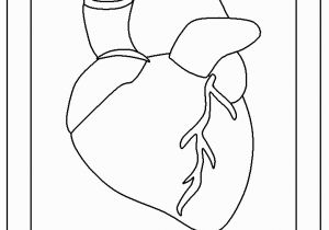 Anatomical Heart Coloring Pages Coloring Pages the Human Heart for Kidskidsfreecoloring Net