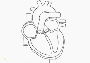 Anatomical Heart Coloring Pages Human Heart Coloring Pages School Motivation Pinterest