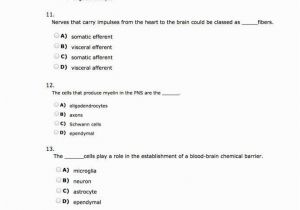 Anatomy and Physiology Coloring Workbook Answers Chapter 11 Page 178 Anatomy and Physiology Coloring Workbook Answers Chapter 11 Page 178