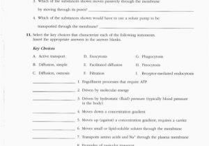 Anatomy and Physiology Coloring Workbook Answers Chapter 11 Page 178 Anatomy and Physiology Coloring Workbook Answers Chapter 11 Page 178