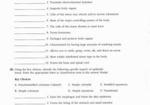 Anatomy and Physiology Coloring Workbook Answers Chapter 11 Page 178 Anatomy and Physiology Coloring Workbook Answers Chapter 11 Page 178