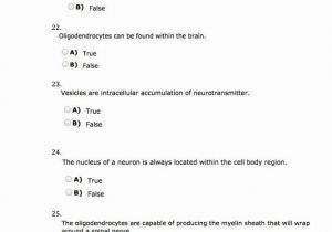 Anatomy and Physiology Coloring Workbook Answers Chapter 11 Page 178 Anatomy and Physiology Coloring Workbook Answers Chapter 11 Page 178