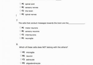 Anatomy and Physiology Coloring Workbook Answers Chapter 11 Page 178 Luxury Anatomy and Physiology Coloring Workbook Answers – Colorfull