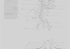 Anatomy and Physiology Coloring Workbook Page 188 Answers 14 Beautiful Gallery Anatomy and Physiology Coloring