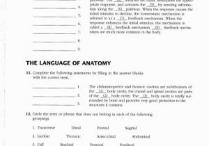 Anatomy and Physiology Coloring Workbook Page 188 Answers Anatomy and Physiology Coloring Workbook Answer Key