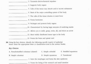 Anatomy and Physiology Coloring Workbook Page 188 Answers Anatomy and Physiology Coloring Workbook Answer Key
