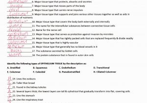 Anatomy and Physiology Coloring Workbook Page 188 Answers Anatomy and Physiology Coloring Workbook Answers Chapter 5