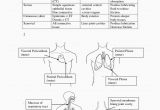 Anatomy and Physiology Coloring Workbook Page 188 Answers Anatomy and Physiology Coloring Workbook Answers Chapter 5