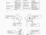 Anatomy and Physiology Coloring Workbook Page 188 Answers Anatomy and Physiology Coloring Workbook Answers Chapter 5