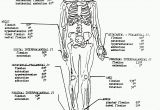 Anatomy and Physiology Coloring Workbook Page 188 Answers Anatomy and Physiology Coloring Workbook Answers Unique