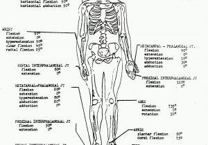 Anatomy and Physiology Coloring Workbook Page 188 Answers Anatomy and Physiology Coloring Workbook Answers Unique