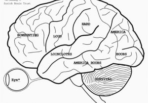 Anatomy and Physiology Coloring Workbook Page 188 Answers Anatomy Coloring Book Pearson Human Pdf Free Answers Cross