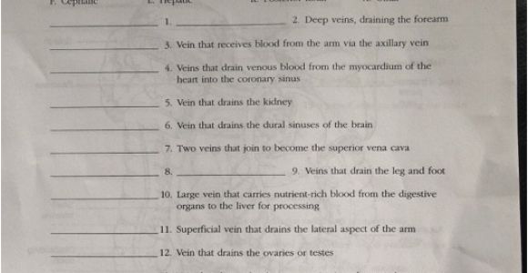 Anatomy and Physiology Coloring Workbook Page 188 Answers solved 188 Anatomy & Physiology Coloring Workbook 18 Usi