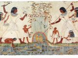 Ancient Egypt Wall Murals Pin On Arte Egipcio