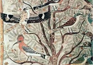 Ancient Egyptian Wall Murals Egyptian "birds In An Acacia Tree Wall Painting From tomb Of