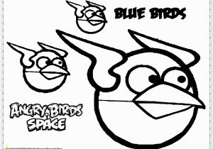 Angry Birds Coloring Pages for Kids Angry Birds Kids Coloring Pages Free Printable Kids