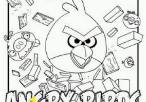 Angry Birds Coloring Pages for Learning Colors 25 Best Angry Birds theme Images On Pinterest