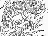 Animal Camouflage Coloring Pages Printable Adult Coloring Page Animal In 2020