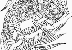 Animal Camouflage Coloring Pages Printable Adult Coloring Page Animal In 2020