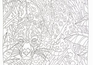 Animal Camouflage Coloring Pages Printable Hidden Endangered Animals Creature Camouflage Colouring Book