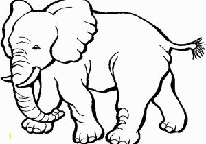 Animal Coloring Pages Printable Zoo Animals Coloring Pages Yintan