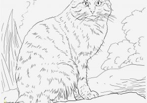 Animal Mandala Coloring Pages Printable Coloring Page to Print Animal Mandala Lovely Cat Printable