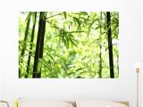 Animal Print Wall Murals Amazon Wallmonkeys Bamboo Wall Mural Peel and Stick